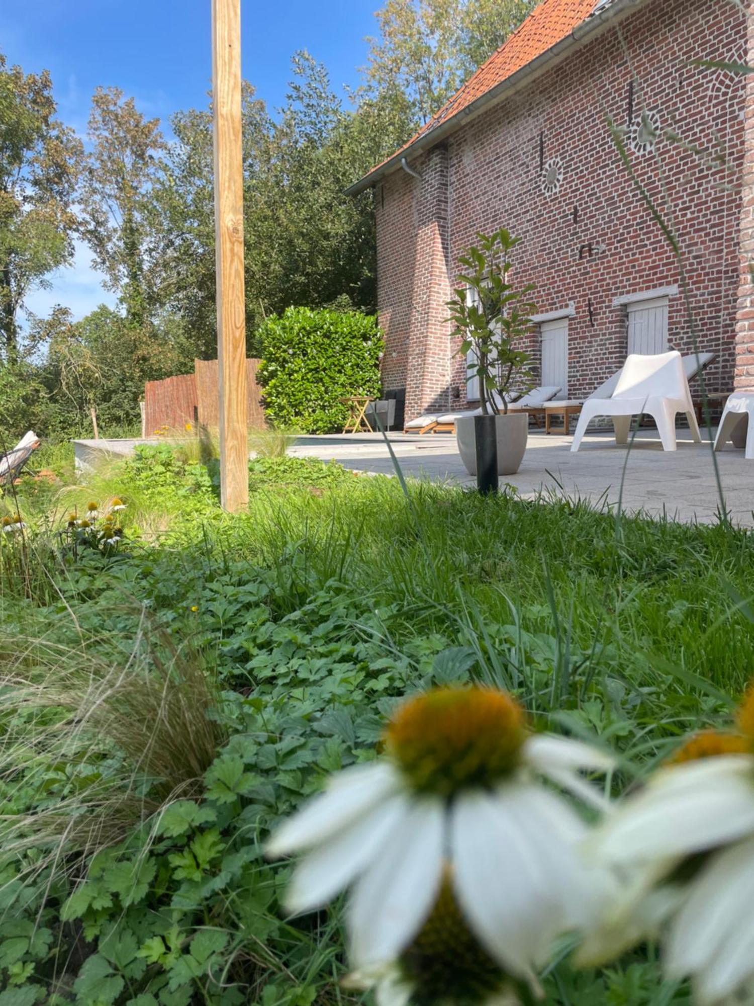 La Canopee Des Arbres, Anna Ellezelles Exterior photo