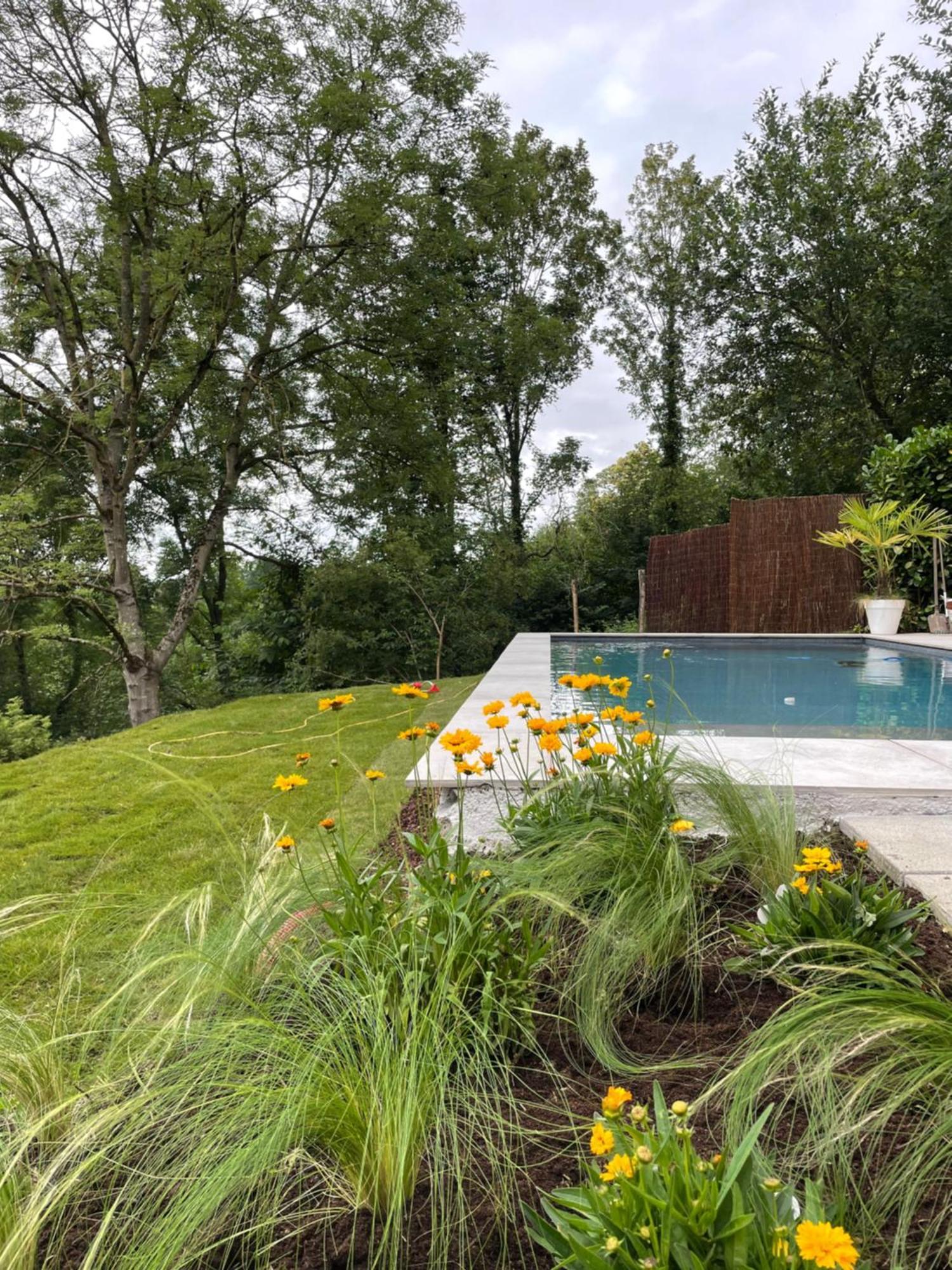 La Canopee Des Arbres, Anna Ellezelles Exterior photo